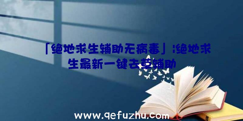 「绝地求生辅助无病毒」|绝地求生最新一键去草辅助